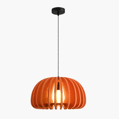 Half Circle Ball Birdcage Acoustic Pendant Light