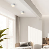 Aziya Ceiling Light