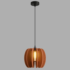 Circular Arc Piece Acoustic Pendant Light
