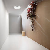 Deyra Ceiling Light