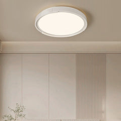 Edge Minimalist Ceiling Light