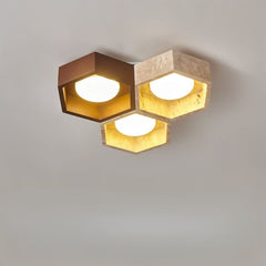 Electa Ceiling Lamp