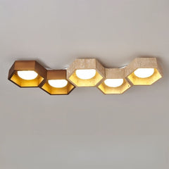 Electa Ceiling Lamp