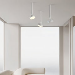 Fionn Ceiling Light