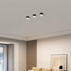 Hafra Ceiling Light