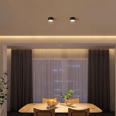 Hafra Ceiling Light