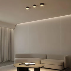 Hafra Ceiling Light