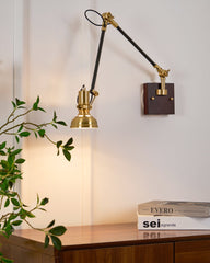 Kane Swing Arm Wall Lamp