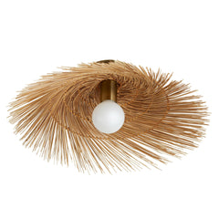 Hayes Wall / Ceiling Light