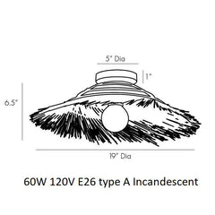 Hayes Wall / Ceiling Light