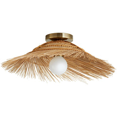 Hayes Wall / Ceiling Light