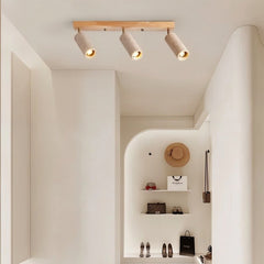 Astrivis Ceiling Light