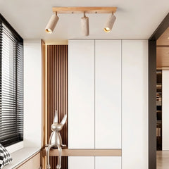 Astrivis Ceiling Light