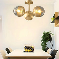 Belbor Ceiling Light