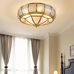 Catlus Ceiling Light