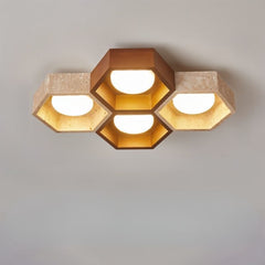 Electa Ceiling Lamp