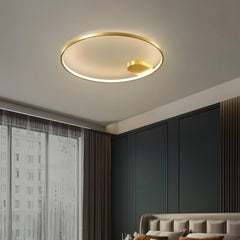 Monel Ceiling Light