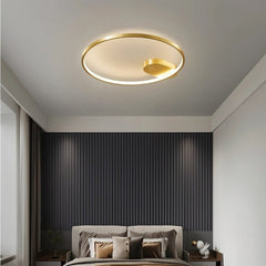 Monel Ceiling Light