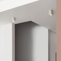 Vela Ceiling Light
