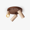 Terra Beam Ceiling Light