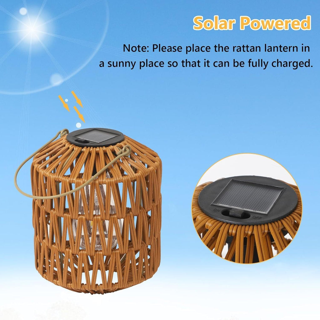 23919478