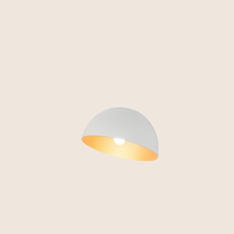 Alila Ceiling Light