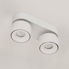Antha Ceiling Light