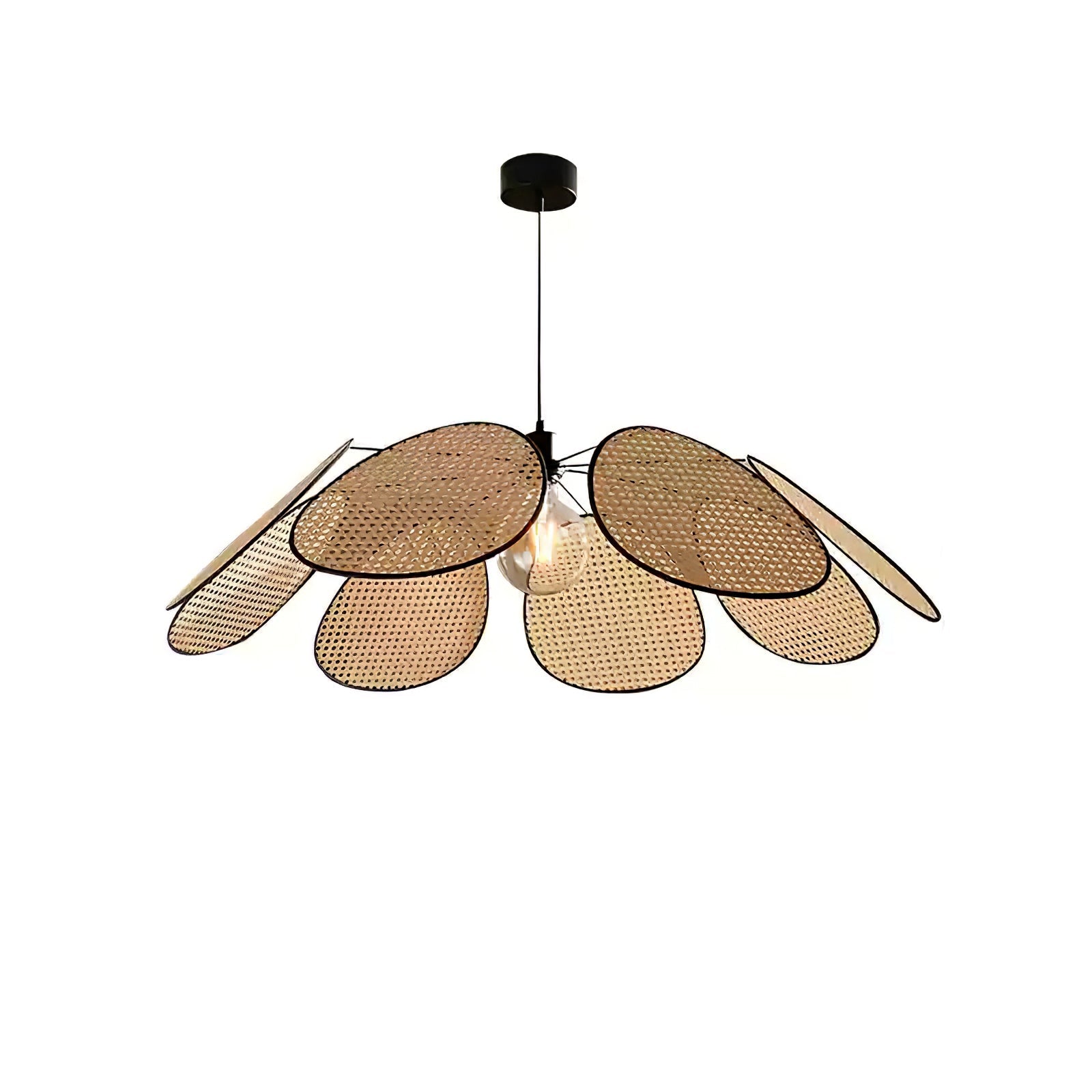 Blossom Petal c Pendant Lamp