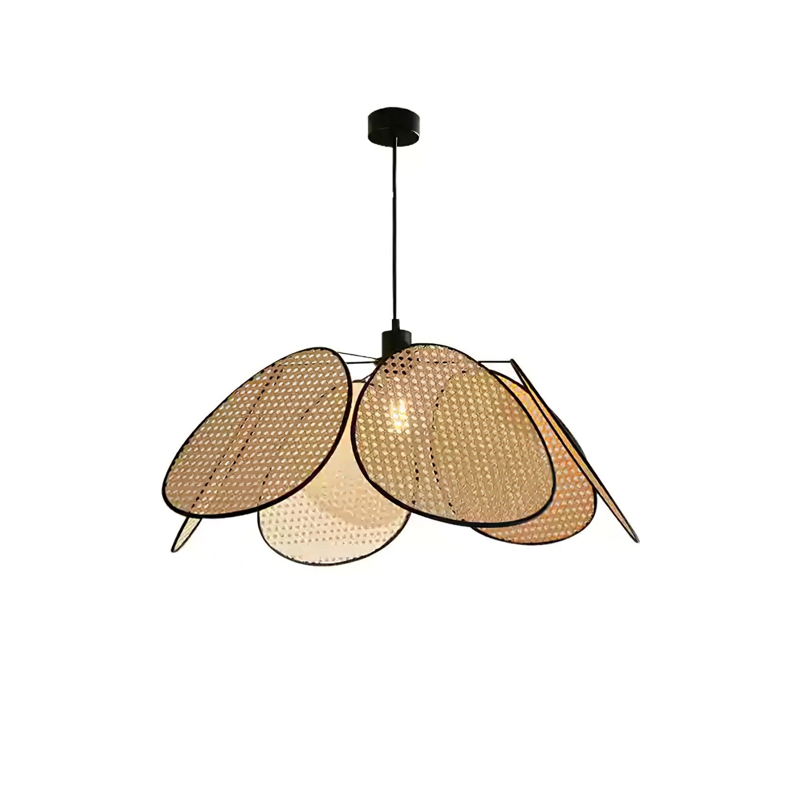 Blossom Petal c Pendant Lamp