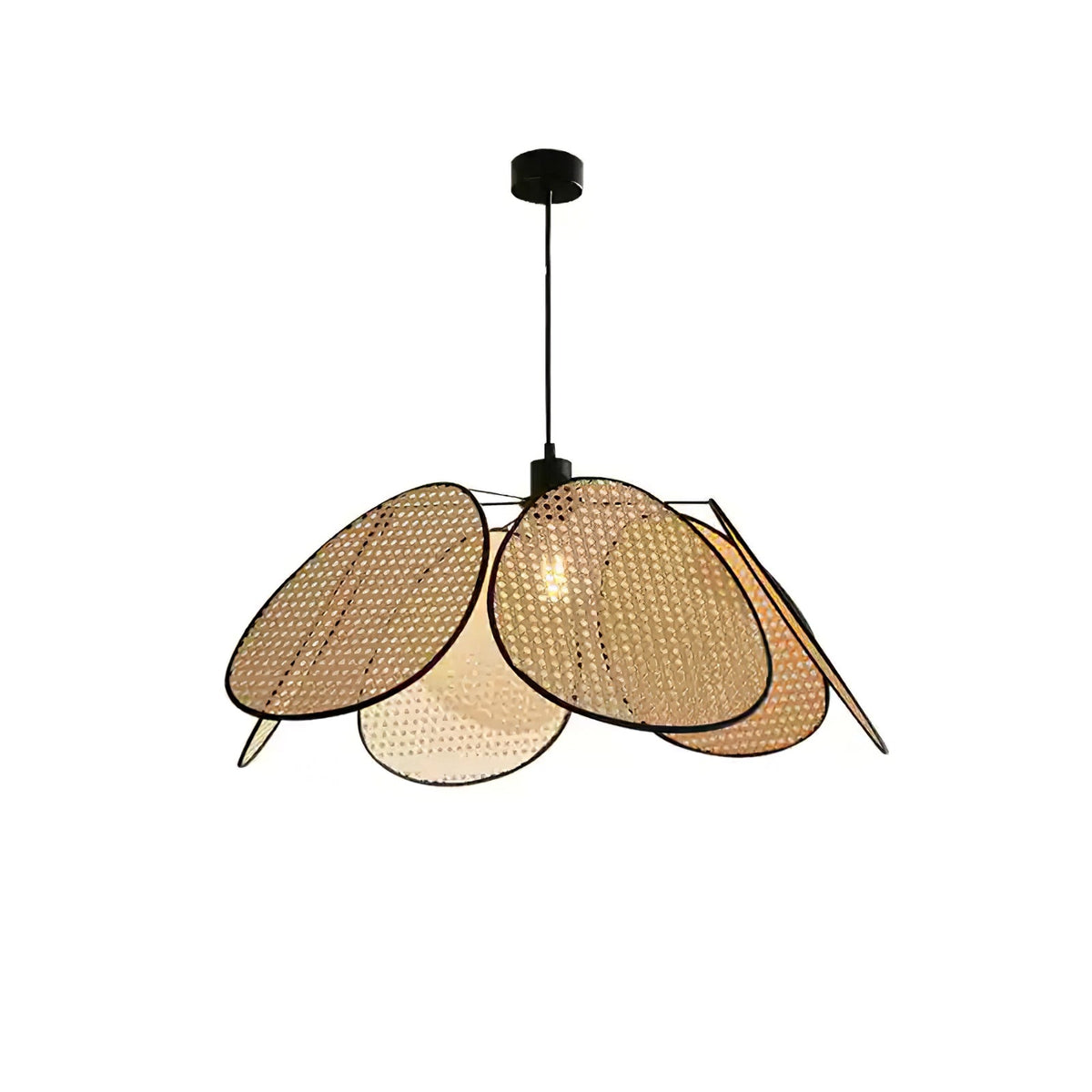 Blossom Petal c Pendant Lamp