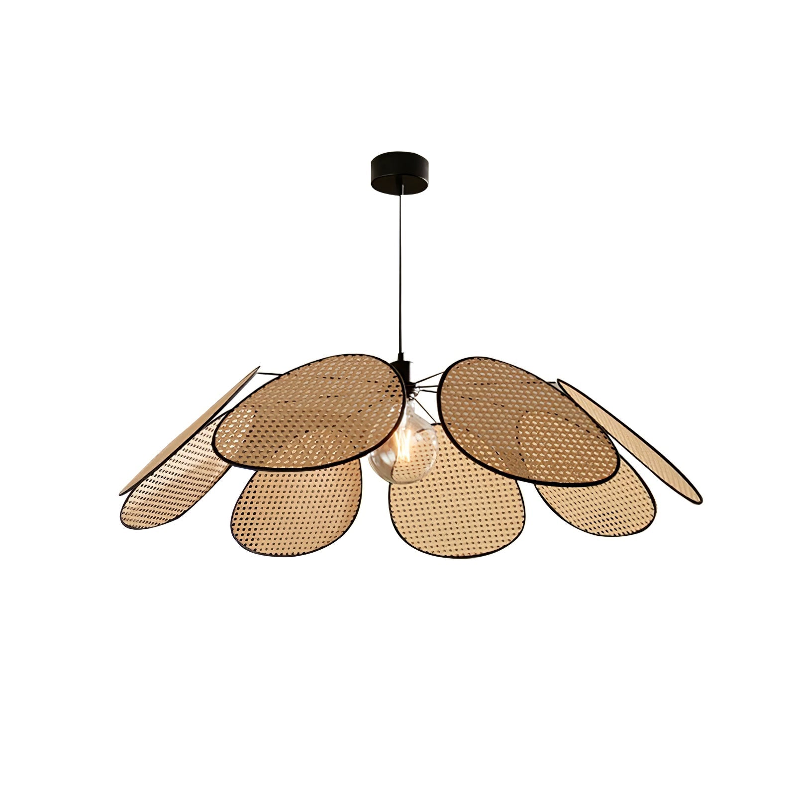 Blossom Petal c Pendant Lamp