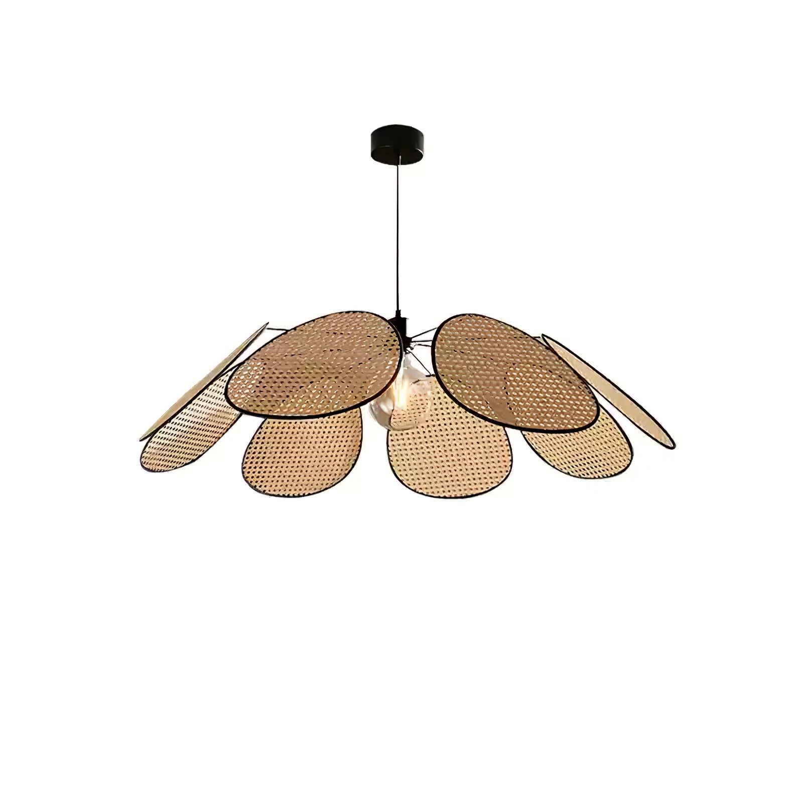 Blossom Petal c Pendant Lamp