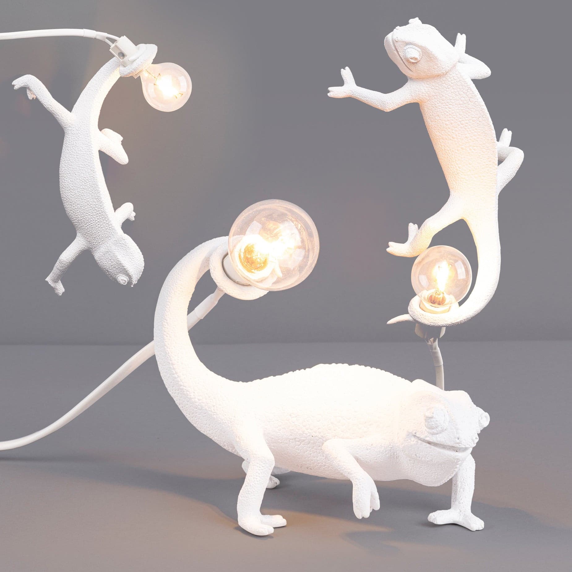 Chameleon Wall Lamp
