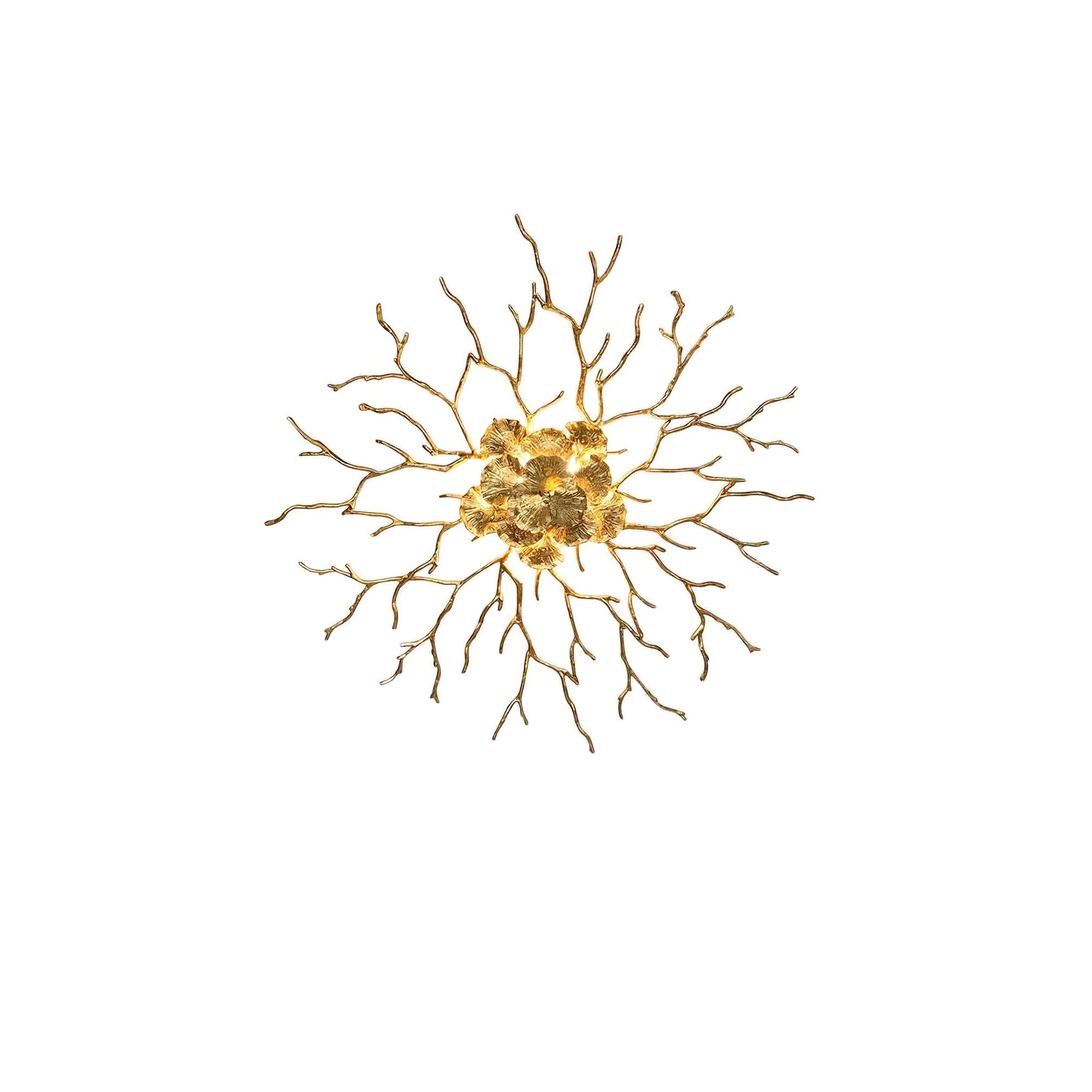 Coral Zoa Eye Wall Lamp