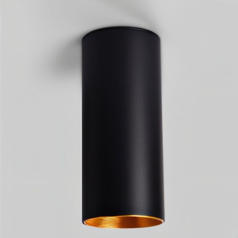 Eilin  Ceiling Light