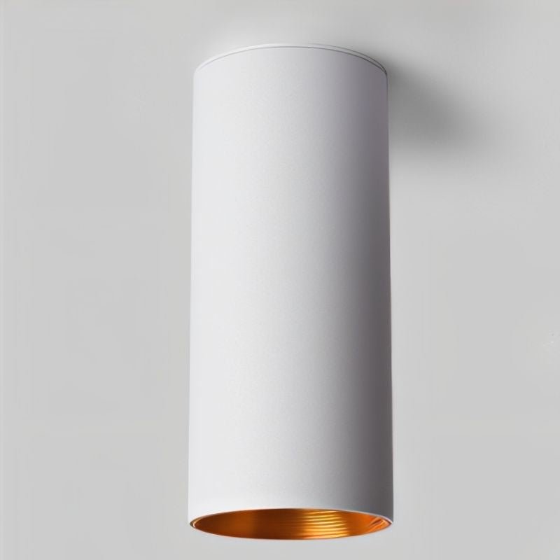 Eilin  Ceiling Light