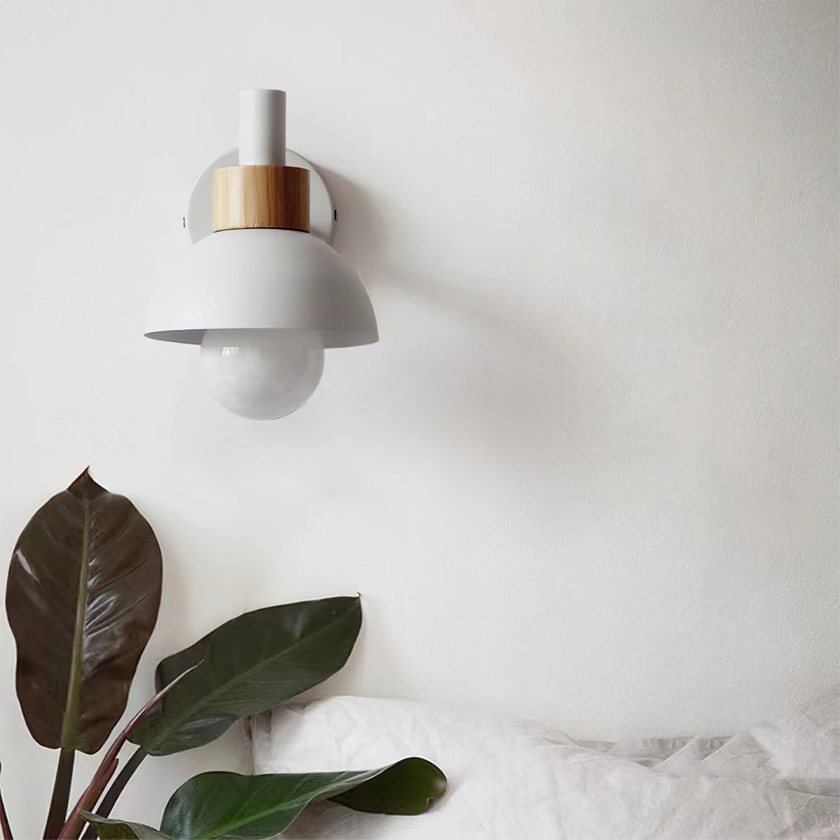 Fanta Wall Lamp