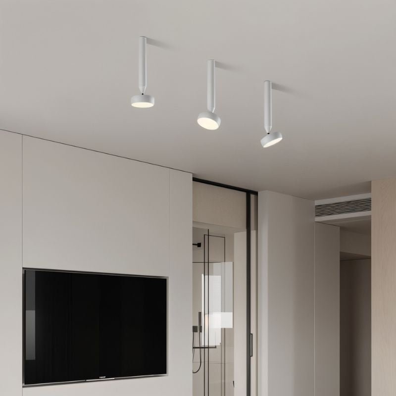 Fionn Ceiling Light