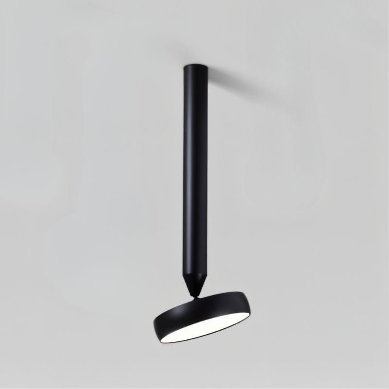 Fionn Ceiling Light