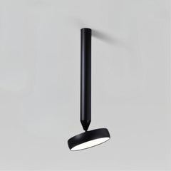 Fionn Ceiling Light