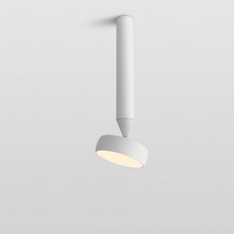 Fionn Ceiling Light