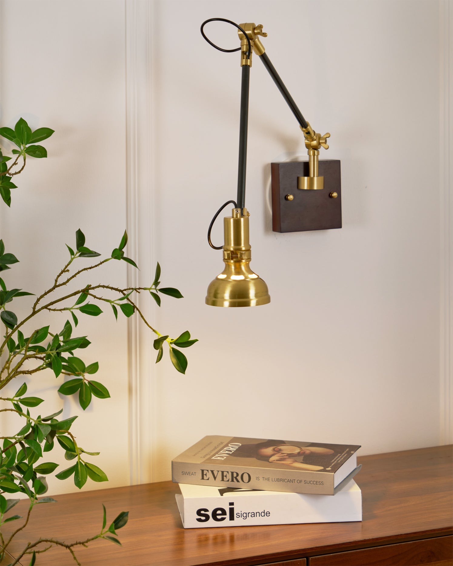 Kane Swing Arm Wall Lamp