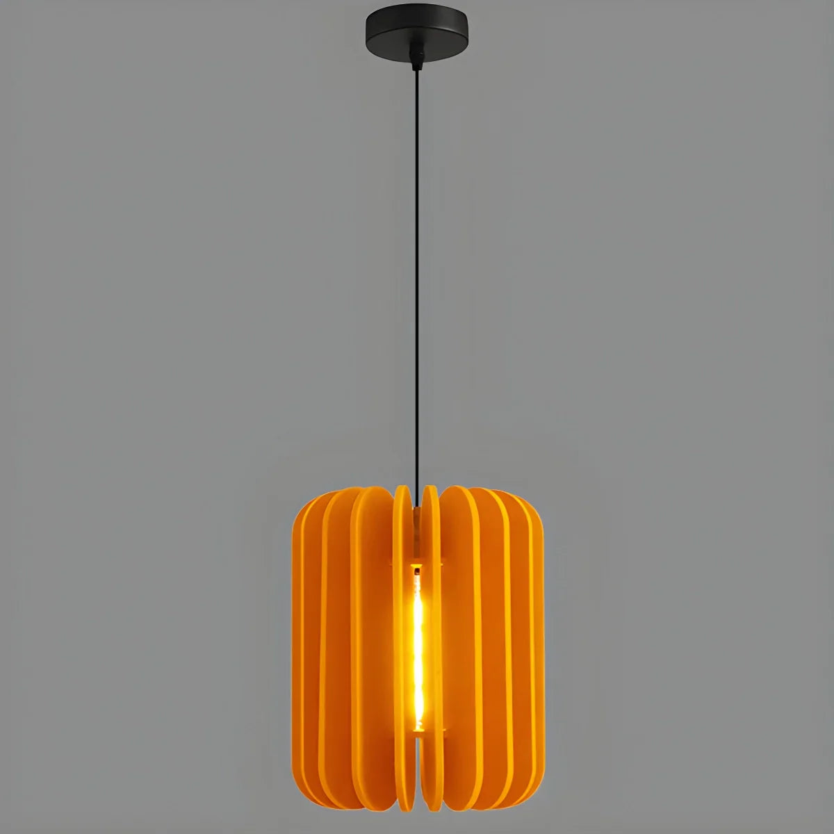 Pumpkin Slice Acoustic Pendant Light