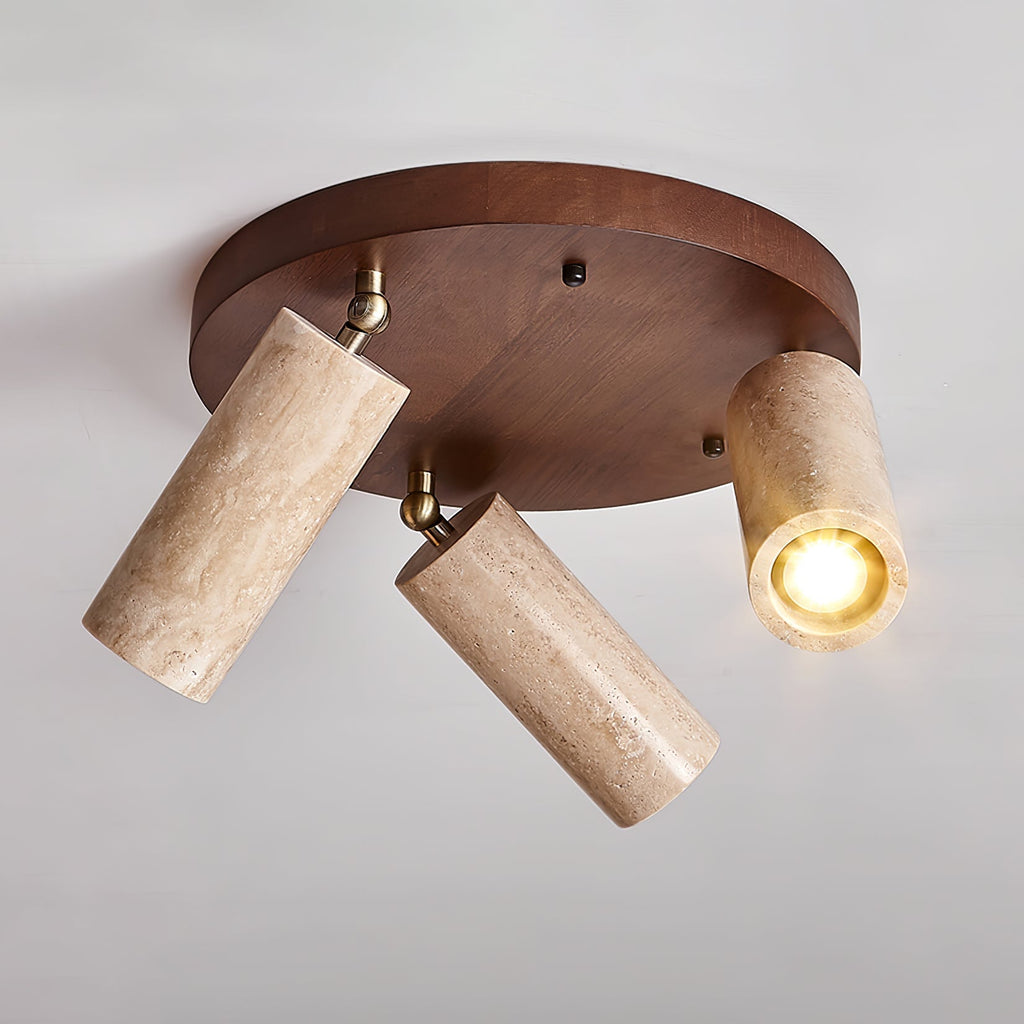 Terra Beam Ceiling Light
