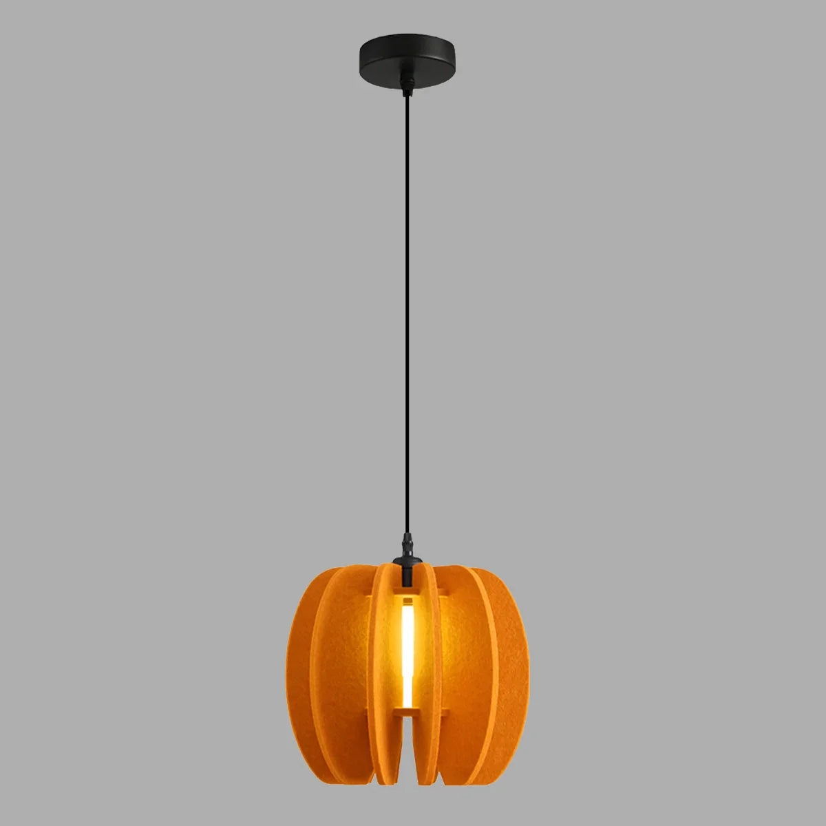 Circular Arc Piece Acoustic Pendant Light