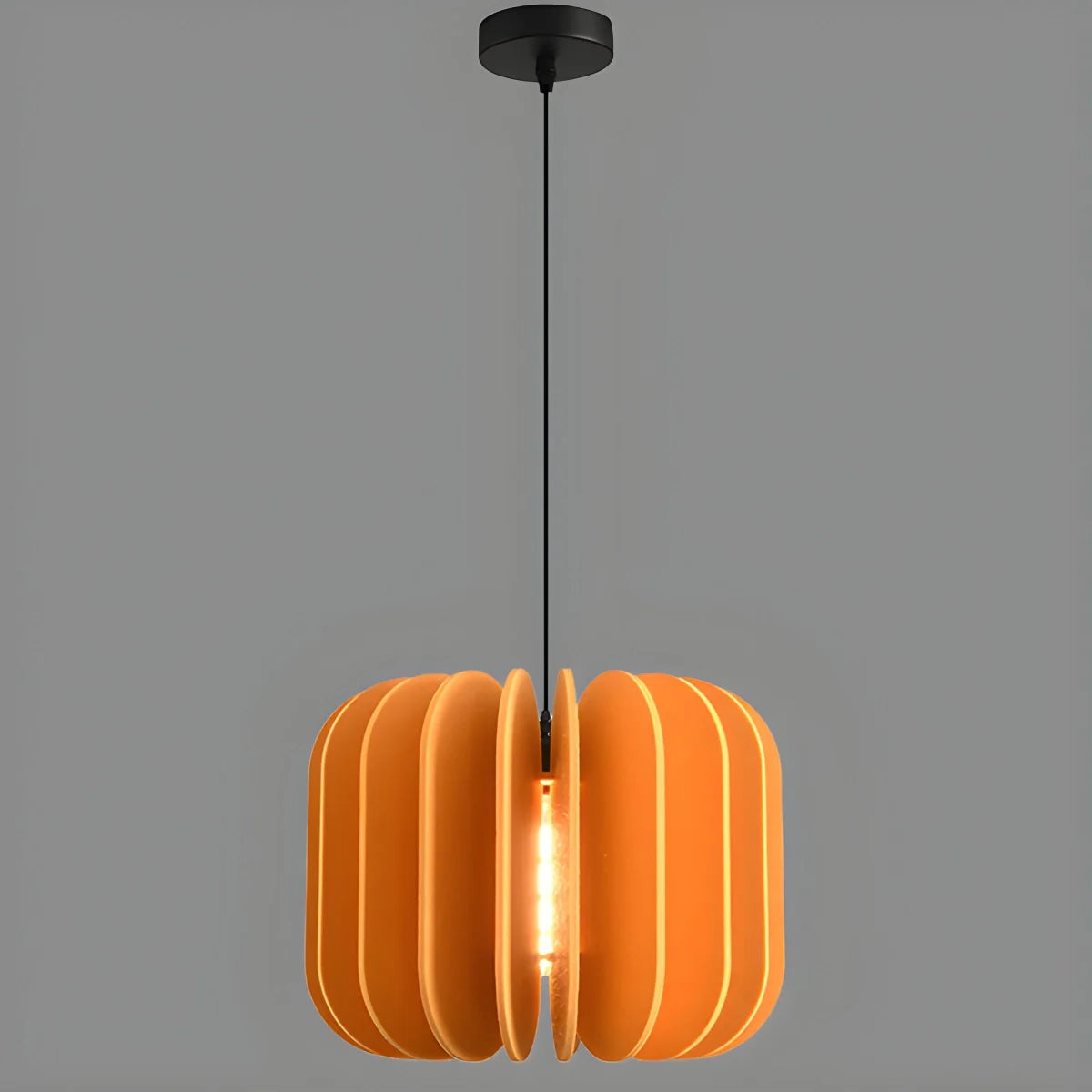 Pumpkin Slice Acoustic Pendant Light