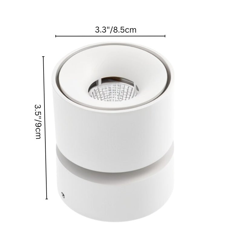 Antha Ceiling Light