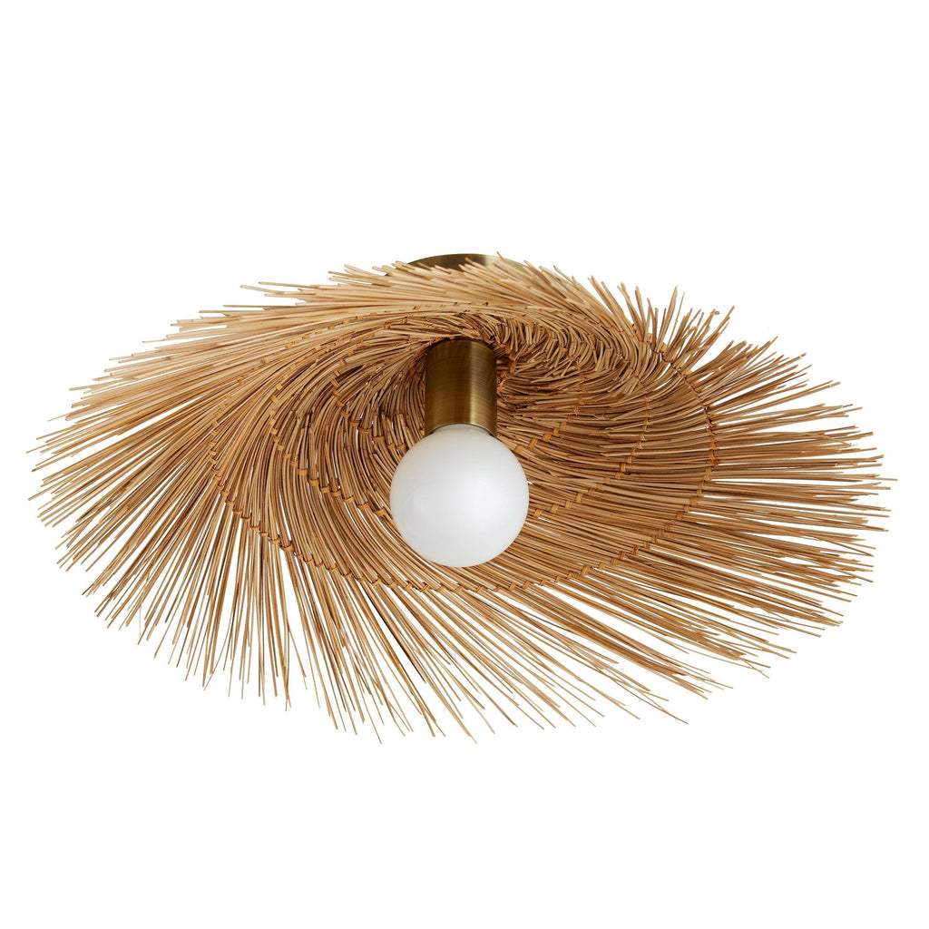 Hayes Wall / Ceiling Light