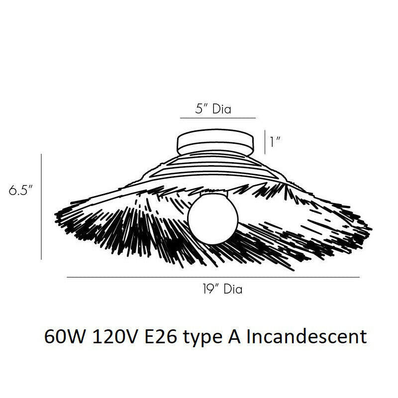 Hayes Wall / Ceiling Light