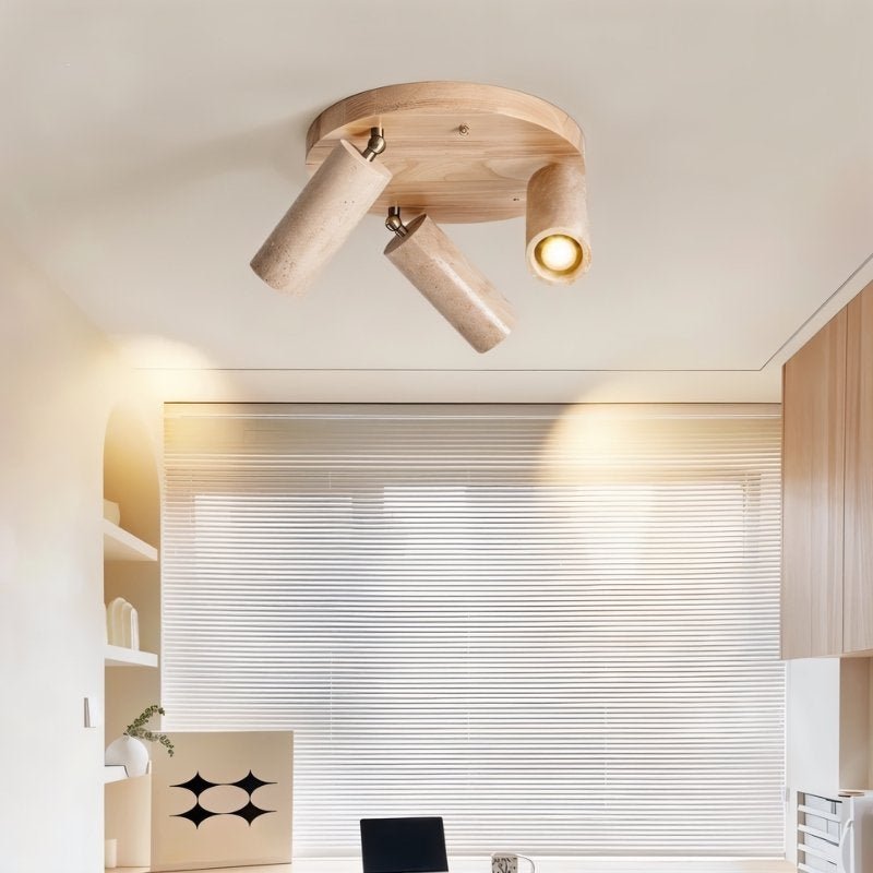 Astrivis Ceiling Light